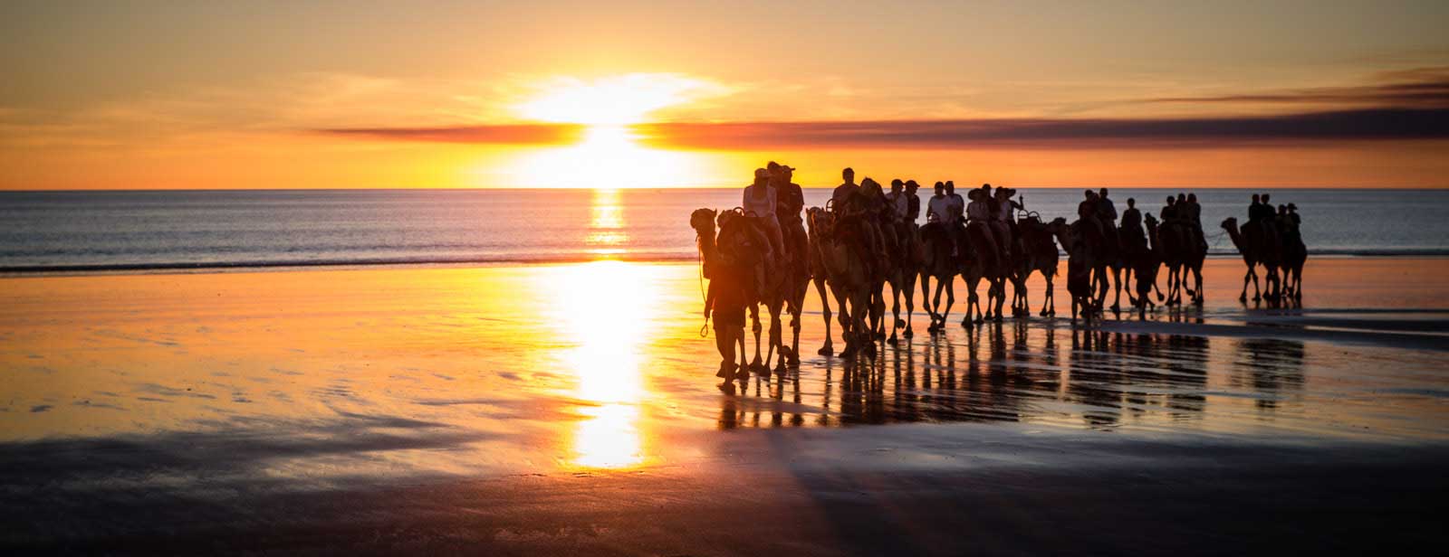 Camels on Cable Beach, Broome at sunrise