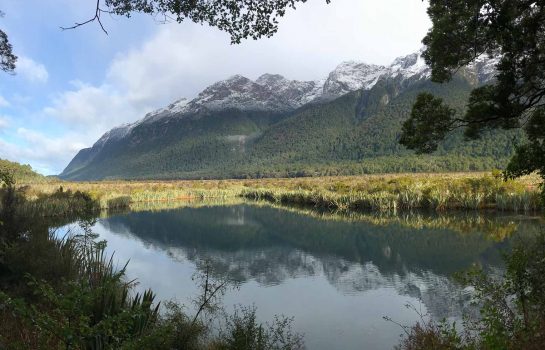 Stunning lake and snow-capped mountain views on South Island, New Zealand.