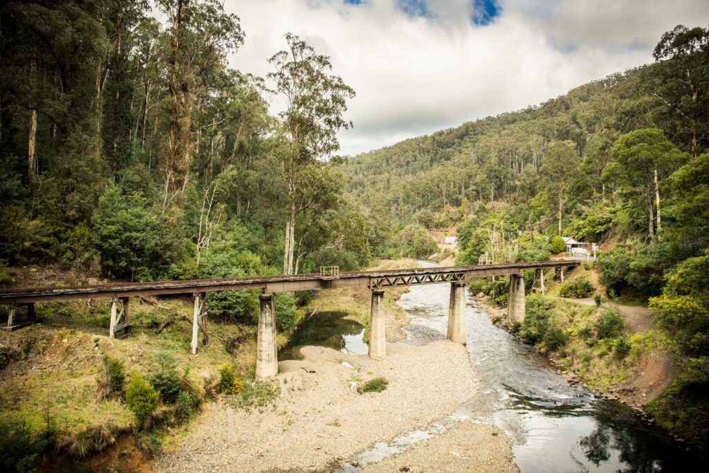 Train bridge Walhalla