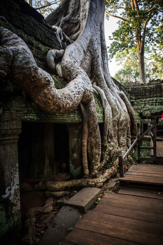 Ta Prohm