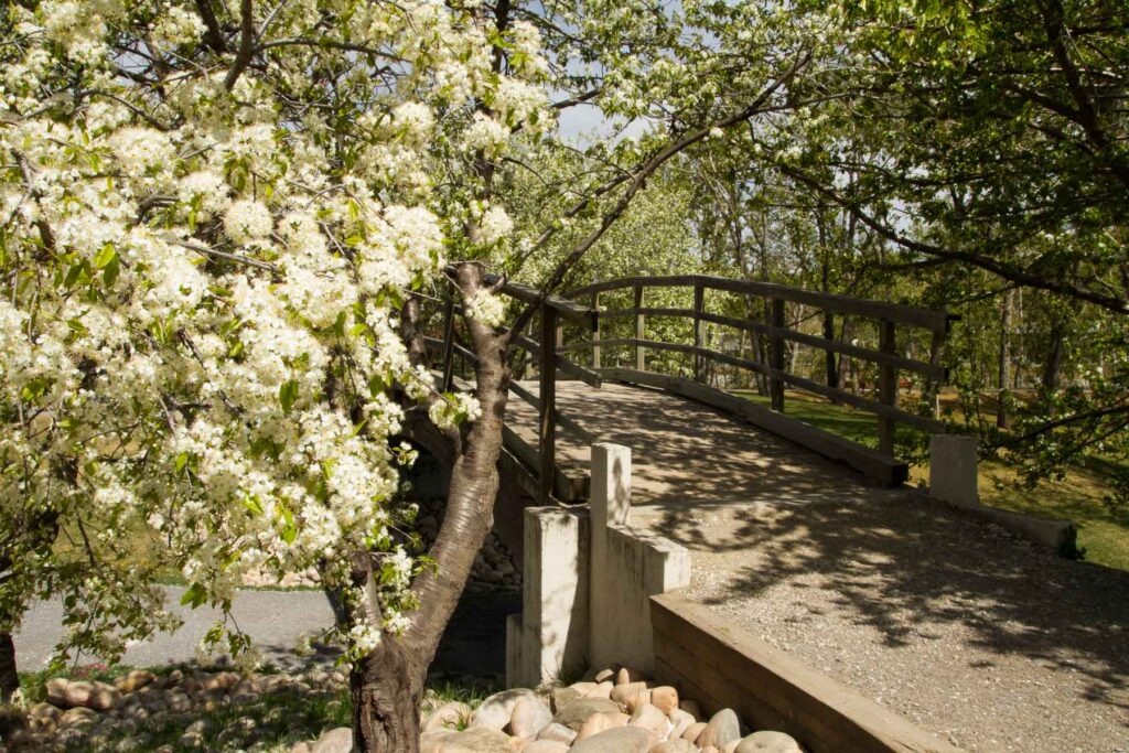 Park in Calgary