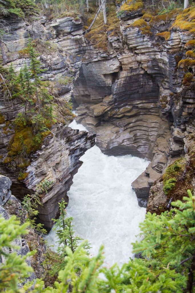 Athabasca Falls