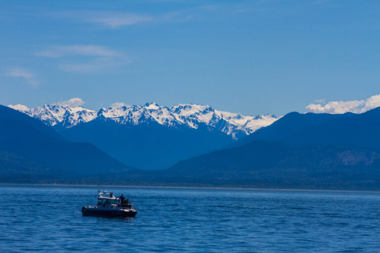 Having a whale of a time in Victoria – sorry I couldn’t help myself