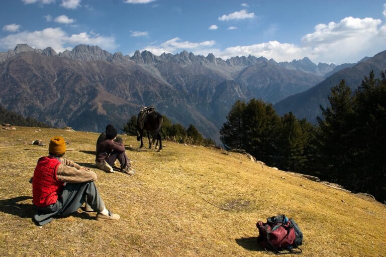 Conquering the Himalayas in India