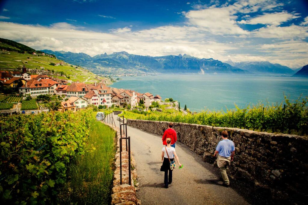 Lavaux