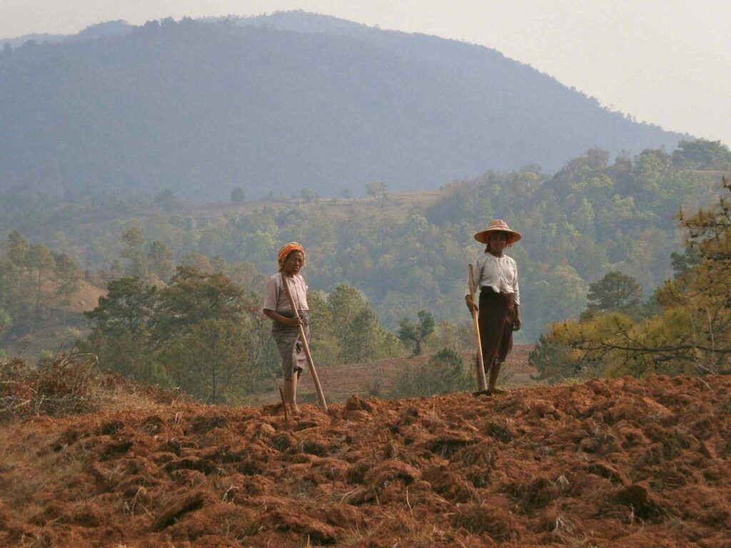 Working in the fields