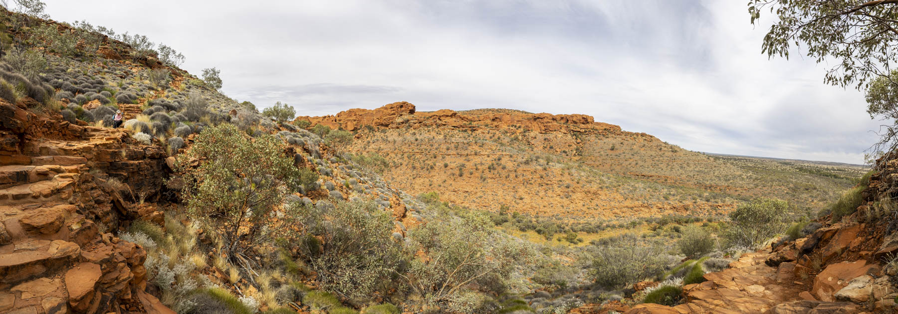 Di looking out over Kings Canyon Northern Territory Australia
