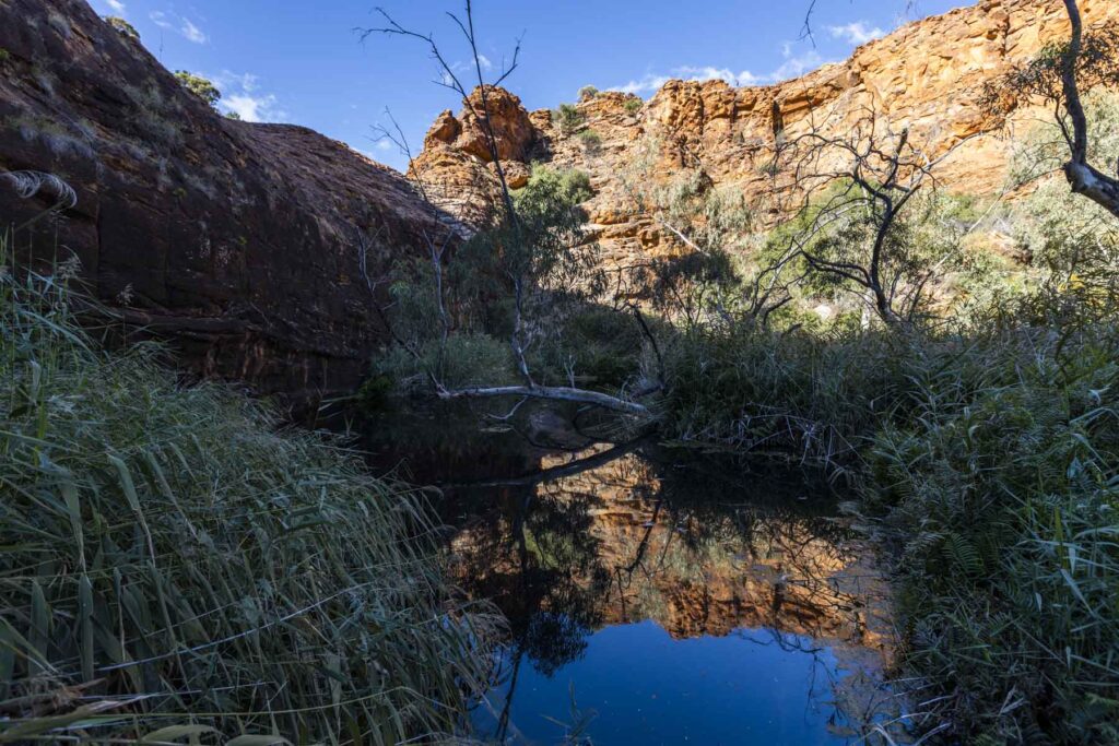 Canyon reflections