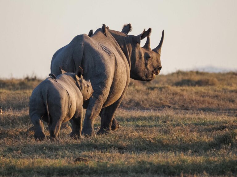 Finding travel magic in Africa