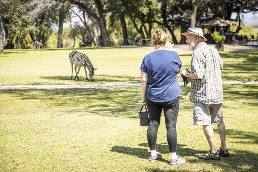 Watching the wildlife at Royal Livingstone