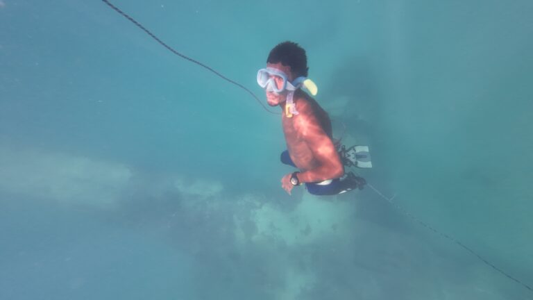 Snorkelling in the Caribbean