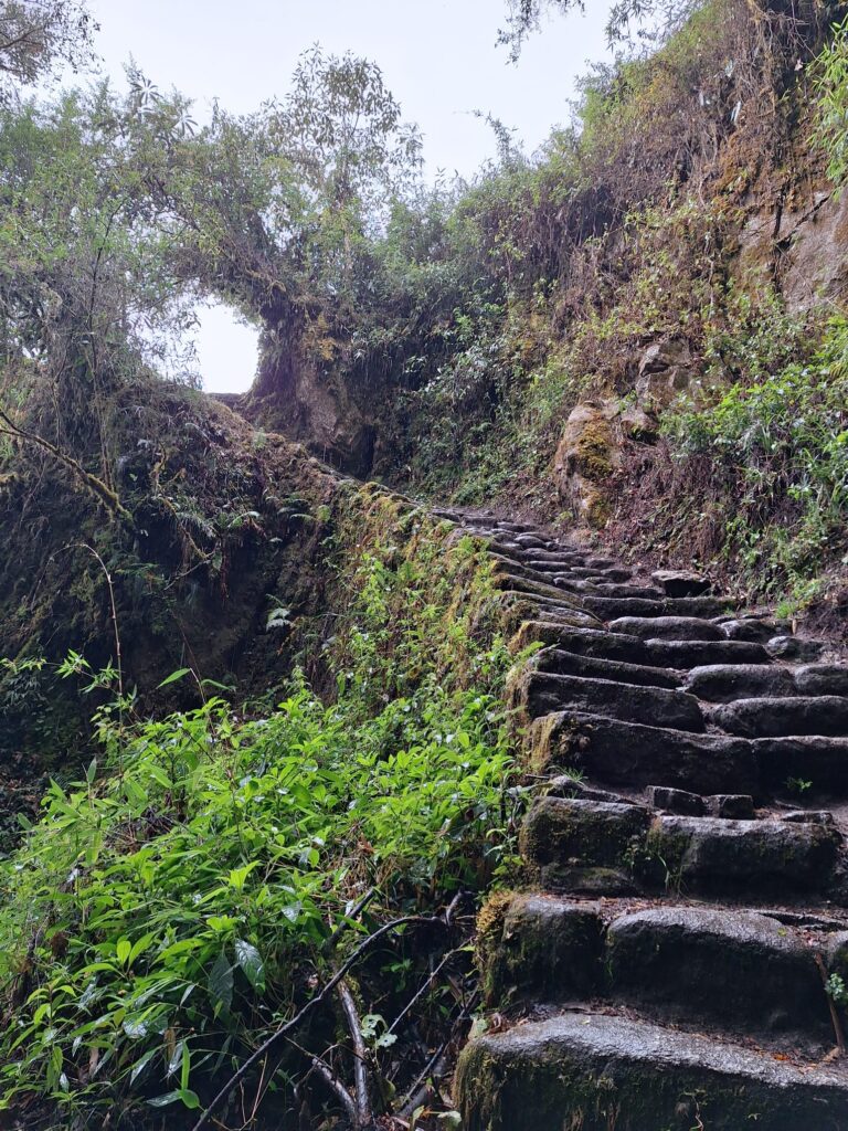 Inca steps