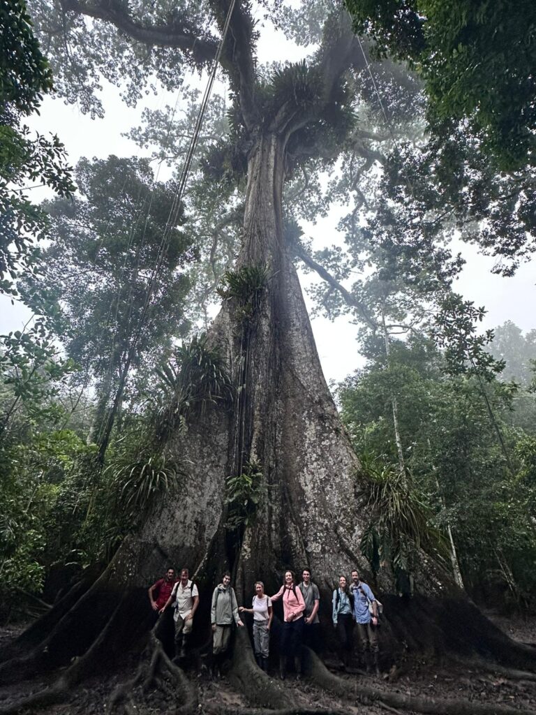 The family standing under a large tree.