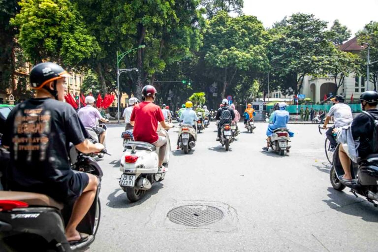 A steady stream of motorised scooters travel away from the camera on a tree-lined street in Vietnam.